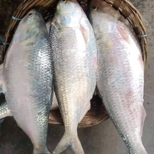 ৫ পিস মাছে ১০ কেজি = ৪২০০ টাকা